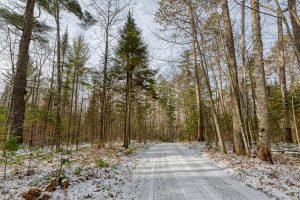 9061 Amber lake Rd, , Minocqua,  WI 54538 United States