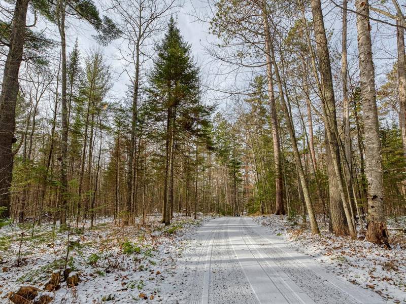 9061 Amber lake Rd, , Minocqua,  WI 54538 United States