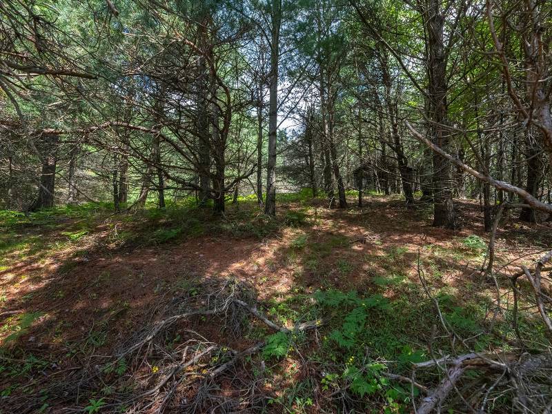 2 Hwy 45, , Three Lakes,  WI 54562 United States