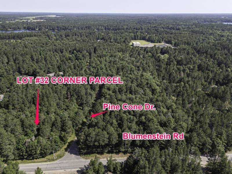 32 Pine Cone Drive, , Woodruff,  WI 54568 United States