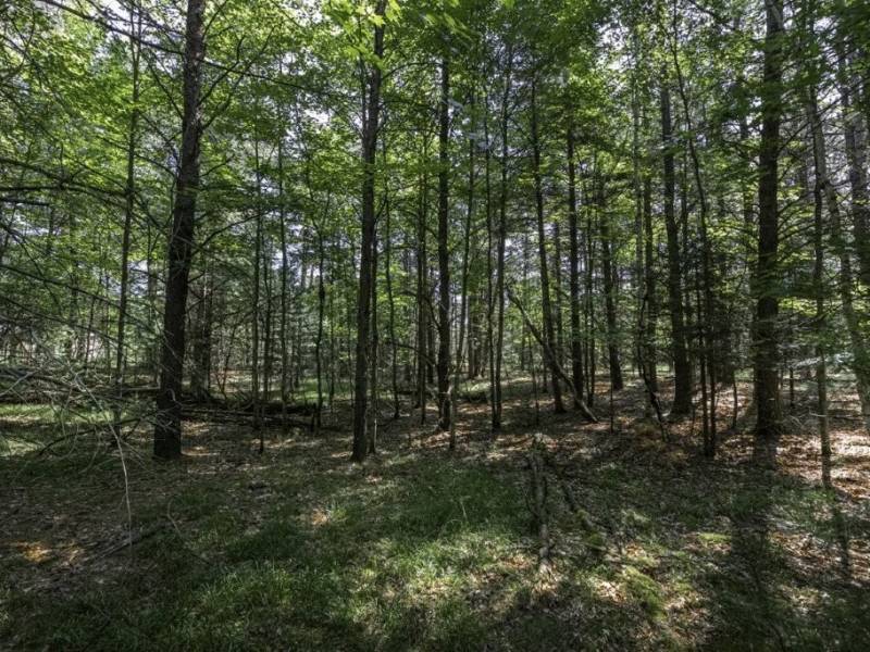 32 Pine Cone Drive, , Woodruff,  WI 54568 United States