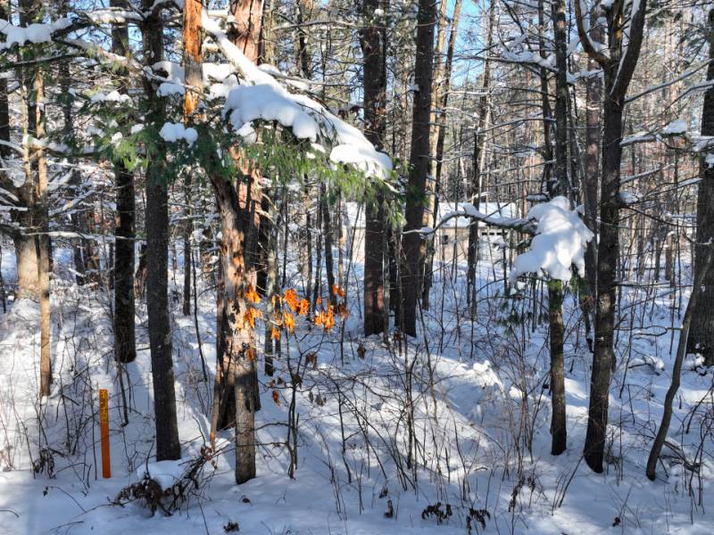 Lot 9/Mishonagon Way, , Minocqua,  WI 54548 United States