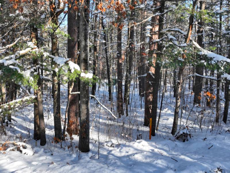 Lot 9/Mishonagon Way, , Minocqua,  WI 54548 United States
