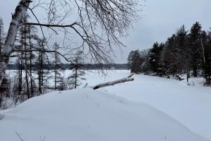 3633 Kuczmarski Dr, Stella, Rhinelander,  WI 54501 United States