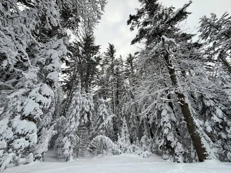 14 Ac Juve Rd, , St Germain,  WI 54558