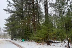 14 Ac Juve Rd, , St Germain,  WI 54558