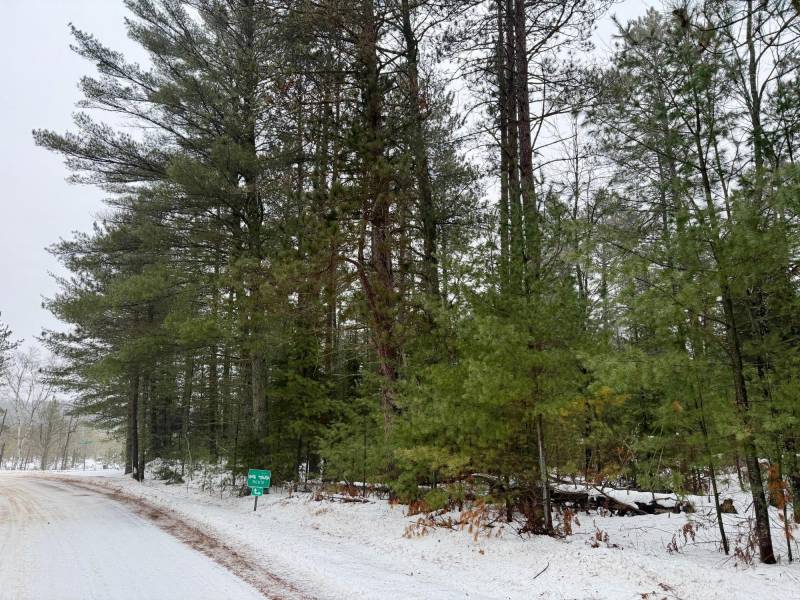 14 Ac Juve Rd, , St Germain,  WI 54558
