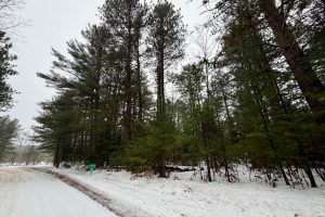 14 Ac Juve Rd, , St Germain,  WI 54558