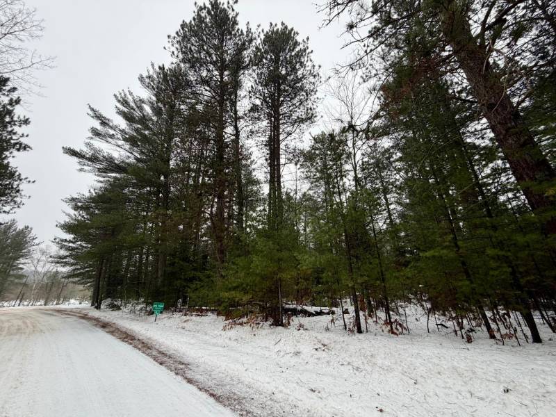 14 Ac Juve Rd, , St Germain,  WI 54558