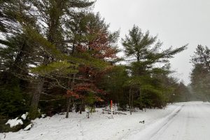 14 Ac Juve Rd, , St Germain,  WI 54558