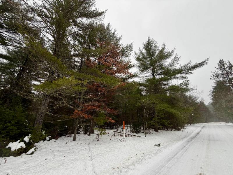 14 Ac Juve Rd, , St Germain,  WI 54558