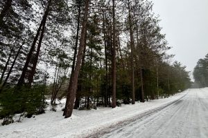 14 Ac Juve Rd, , St Germain,  WI 54558