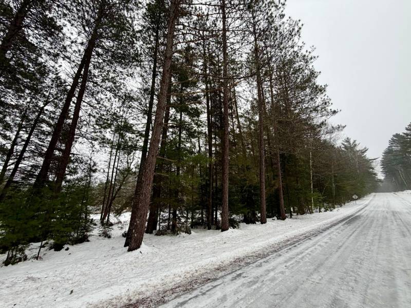 14 Ac Juve Rd, , St Germain,  WI 54558