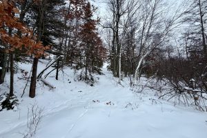 3633 Kuczmarski Dr, Stella, Rhinelander,  WI 54501 United States