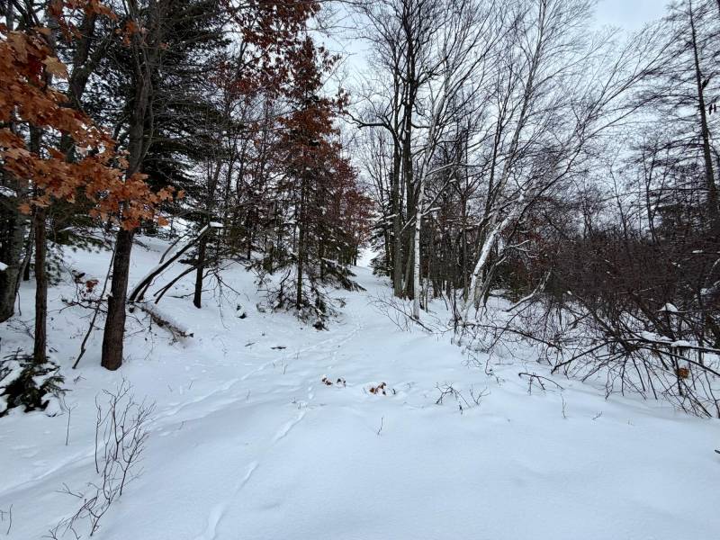 3633 Kuczmarski Dr, Stella, Rhinelander,  WI 54501 United States