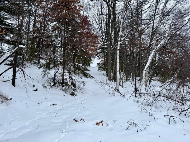 3633 Kuczmarski Dr, Stella, Rhinelander,  WI 54501 United States