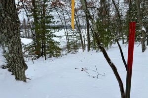 3633 Kuczmarski Dr, Stella, Rhinelander,  WI 54501 United States