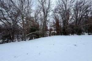 3633 Kuczmarski Dr, Stella, Rhinelander,  WI 54501 United States