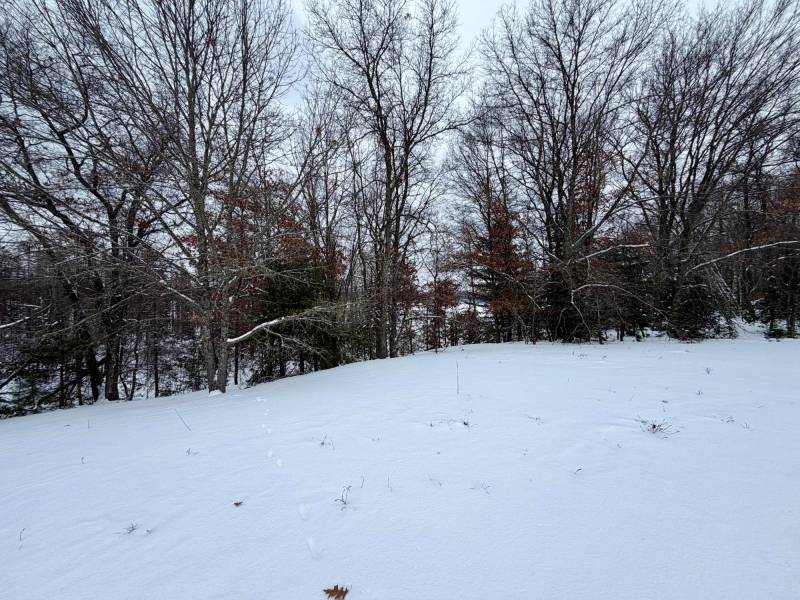 3633 Kuczmarski Dr, Stella, Rhinelander,  WI 54501 United States