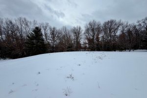 3633 Kuczmarski Dr, Stella, Rhinelander,  WI 54501 United States