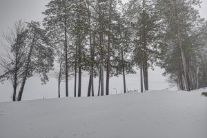 2244 River Rd, , Nokomis,  WI 54487