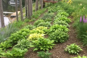 2244 River Rd, , Nokomis,  WI 54487