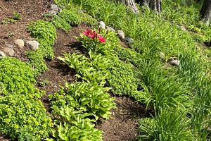 2244 River Rd, , Nokomis,  WI 54487