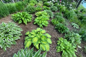 2244 River Rd, , Nokomis,  WI 54487