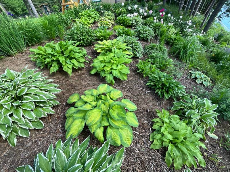 2244 River Rd, , Nokomis,  WI 54487