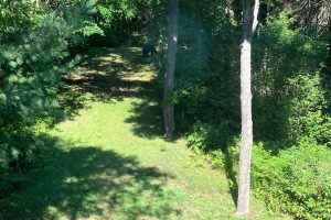 2899 Hwy 17, , Crescent,  WI 54501