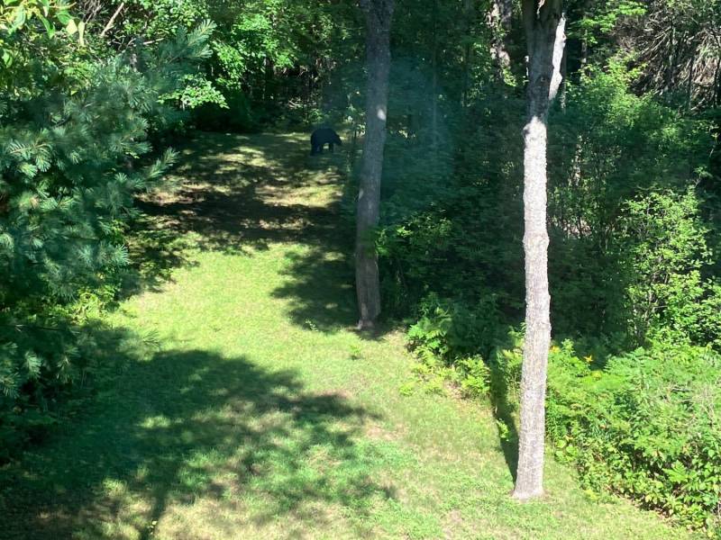 2899 Hwy 17, , Crescent,  WI 54501