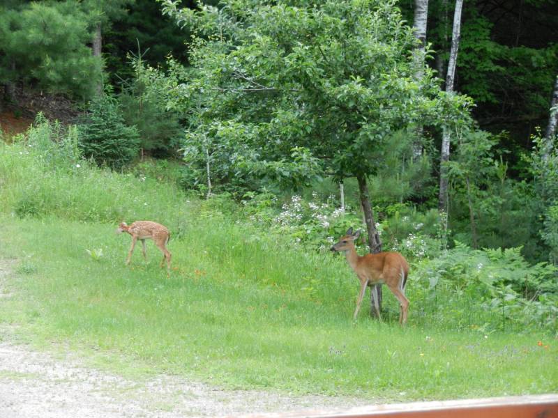 2899 Hwy 17, , Crescent,  WI 54501