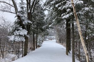 2899 Hwy 17, , Crescent,  WI 54501