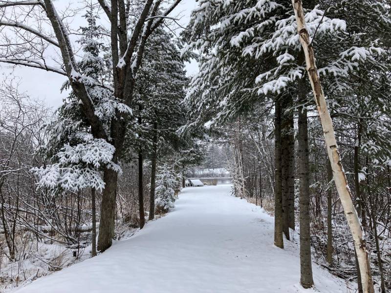 2899 Hwy 17, , Crescent,  WI 54501