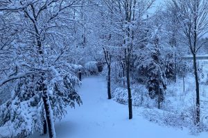 2899 Hwy 17, , Crescent,  WI 54501