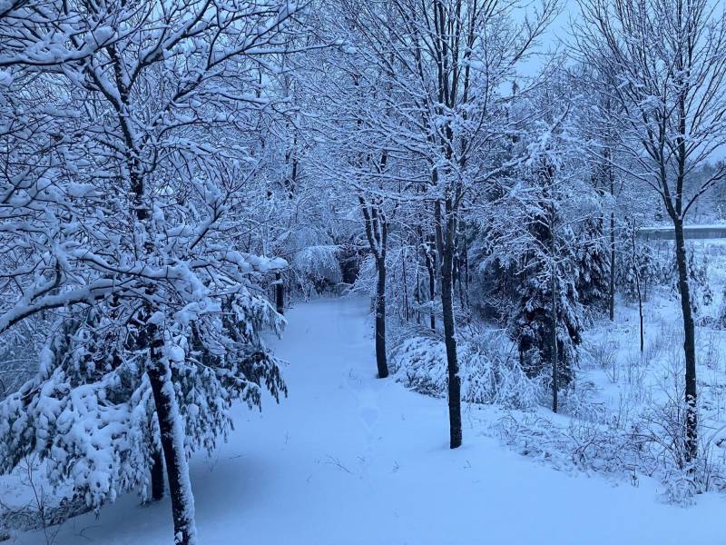 2899 Hwy 17, , Crescent,  WI 54501