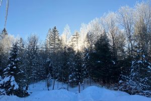 2899 Hwy 17, , Crescent,  WI 54501