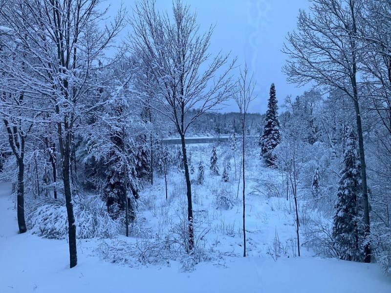 2899 Hwy 17, , Crescent,  WI 54501