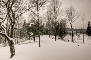 2899 Hwy 17, , Crescent,  WI 54501