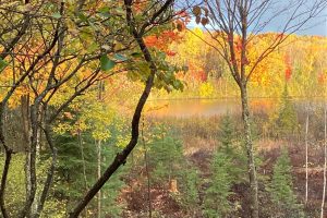 2899 Hwy 17, , Crescent,  WI 54501