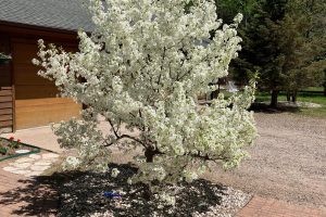 2899 Hwy 17, , Crescent,  WI 54501