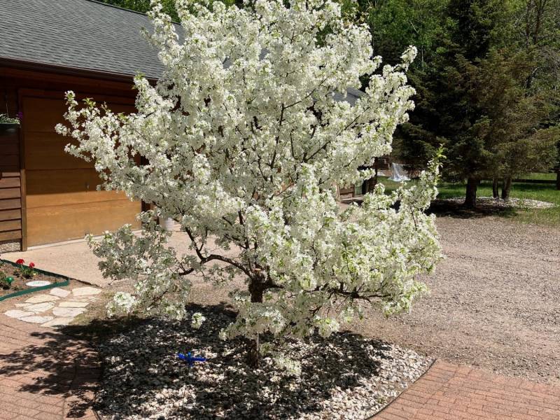 2899 Hwy 17, , Crescent,  WI 54501