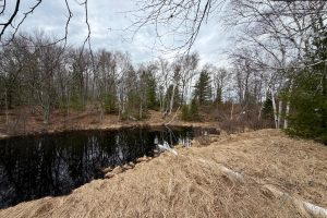 3633 Kuczmarski Dr, Stella, Rhinelander,  WI 54501 United States