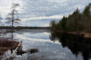 3633 Kuczmarski Dr, Stella, Rhinelander,  WI 54501 United States