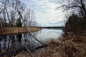 3633 Kuczmarski Dr, Stella, Rhinelander,  WI 54501 United States