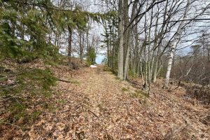 3633 Kuczmarski Dr, Stella, Rhinelander,  WI 54501 United States