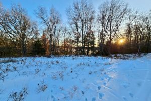 3633 Kuczmarski Dr, Stella, Rhinelander,  WI 54501 United States