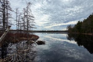 3633 Kuczmarski Dr, Stella, Rhinelander,  WI 54501 United States