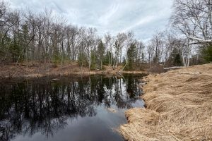 3633 Kuczmarski Dr, Stella, Rhinelander,  WI 54501 United States