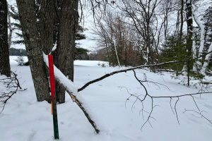 3633 Kuczmarski Dr, Stella, Rhinelander,  WI 54501 United States